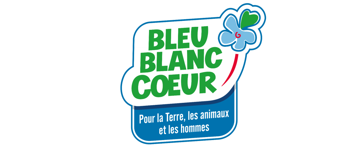 logo bleu blanc coeur